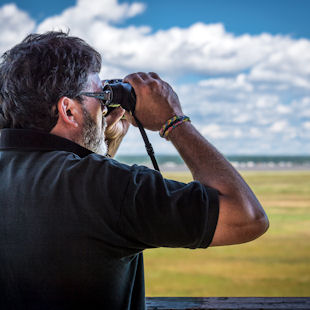 Homme observant des oiseaux